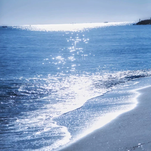 美女警花被虐杀
